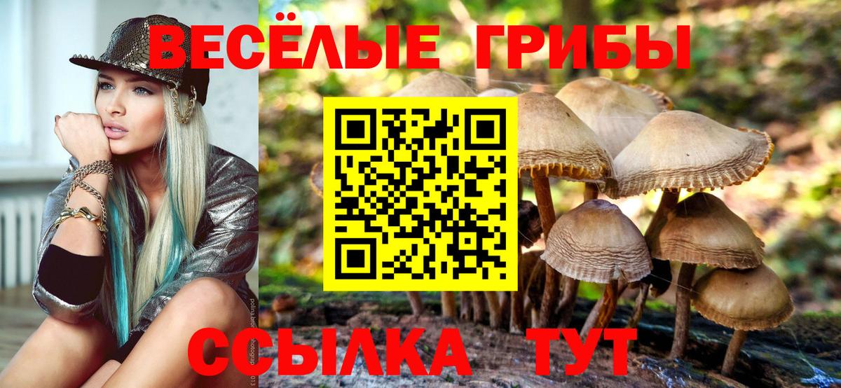МАРИХУАНА  ГАШ  Сланцы  А ПВП СОЛЬ кристаллы  Меф кристаллы  Вход с VPN  Лсд 25 